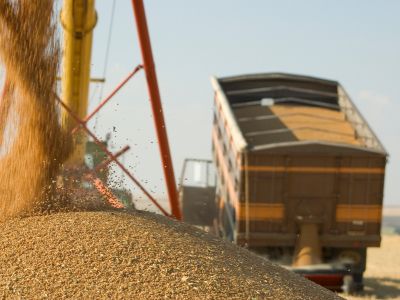 Weighbridge for Agriculture