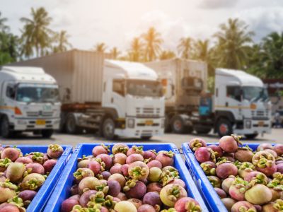 Weighbridge for Food and Beverage