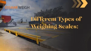 Read more about the article Different Types of Weighing Scales: Explained
